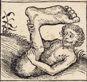 Egy sciopod, Férfi dagadt lábbal, a "Registrum Hujus Operis Libri Cronicarum cum Figuri et Imagibus ab Inicio Mundi"-ból, Hartmann Schedel (1440-1515) Nürnbergben jelent meg alkotó: German School