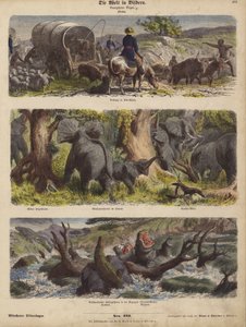Afrika (színes metszet) alkotó: German School