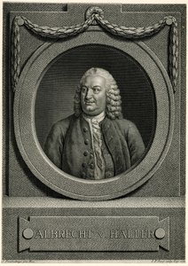 Albert von Haller alkotó: German School
