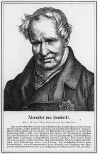 Alexander von Humboldt (metszet) alkotó: German School