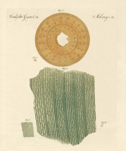 Egy szívószál anatómiája alkotó: German School