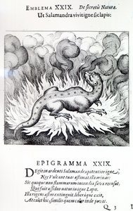 Ahogy a Szalamandra a tűzben él, úgy a kő is, Michael Maier Atalanta fugiens XXIX. jelképe, 1617 alkotó: German School