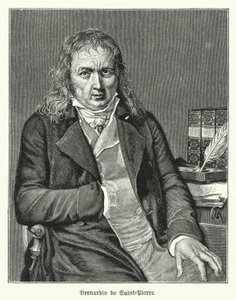 Bernardin de Saint-Pierre francia író és botanikus (litho) alkotó: German School