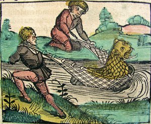 Oroszlán fogása, macska halszörny, megjelent a Nürnbergi Krónikában, 1493 alkotó: German School