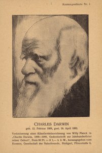 Charles Darwin (1809-1882), angol természettudós (litho) alkotó: German School