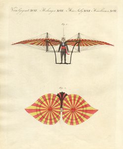 Degen repülő gépe (színes gravírozás) alkotó: German School
