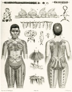 Polinéz ékszereket, dísztárgyakat és tetoválási mintákat ábrázoló diagram, 1888 alkotó: German School