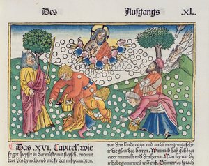 2Móz 16 13-22 Isten fürjekkel és mannával látja el az izraelitákat, a nürnbergi Bibliából (Biblia Sacra Germanaica) (színes fametszet)
