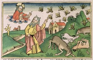 2Móz 8 20-32 Egyiptom hét csapása: Mózes és a legyek raj a „Nürnbergi Bibliából (Biblia Sacra Germanaica)” (színes fametszet) alkotó: German School