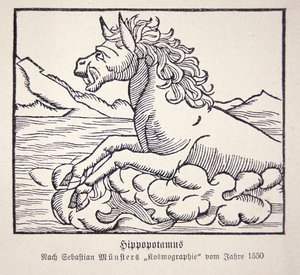 Víziló Sebastien Munster Cosmographie Universalis című művéből alkotó: German School