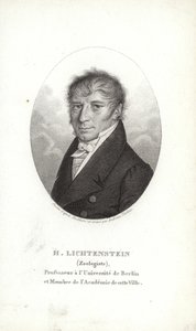 Lichtenstein Márton alkotó: German School