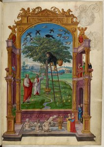Ms Harley 3469, f.15 Aranyfa koronával, a másik példázat, Salomon Trismosin „Splendor Solis” című művéből alkotó: German School