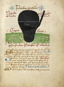 Ms Sloane 2560, f.8 az Alchemical Treatisesből, 15. század vége (vellum) alkotó: German School