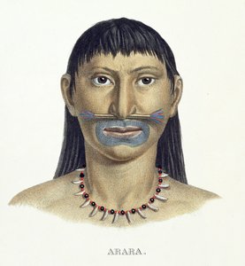 Az Arara törzs bennszülött embere kék arcfestékkel, Johann Baptist von Spix (1781-1826) és Karl Friedrich Philipp Martius (1794-1868) egy brazil utazás atlaszából, 1835-50 körül (színes) alkotó: German School