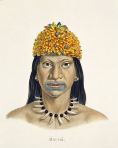 A Mauhe törzs bennszülött embere, kis kék és narancssárga tollú fejdíszben, Johann Baptist von Spix (1781-1826) és Karl Friedrich Philipp Martius (1794-1868) Egy brazil utazás atlaszából alkotó: German School