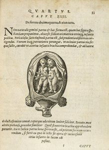 Nem egypetéjű ikrek az anyaméhben, illusztráció a 14. fejezetből, Rueff Az ember fogantatásáról és növekedéséről, 1587. alkotó: German School