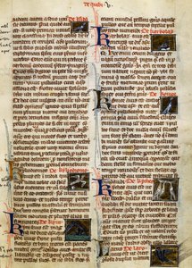 Oldal: Albertus Magnus (1200-1280 körül) A dolgok természete a madarakon alkotó: German School