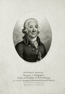 Pallas Péter Simon. (1741 – 1811) (Vonalas metszet) alkotó: German School