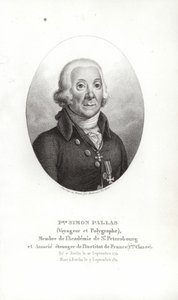 Pallas Péter Simon alkotó: German School