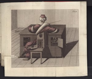 II. tábla Herr von Kempelen sakkozójáról és replikájáról, Lipcse és Drezda: Joh. Gottl. Broadhead, 1789 alkotó: German School