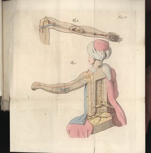 V. tábla, Herr von Kempelen sakkozójáról és másolatáról, Joseph Friedrich Freiherr von Racknitz, Lipcse és Drezda: Joh. Gottl. Breitkopf, 1789 (színes metszet alkotó: German School