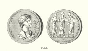 Sallust, római történész és politikus (metszet) alkotó: German School