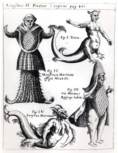 Tengeri szörnyek, illusztráció a Physica Curiosa-ból, Gaspar Schott S.J. (1608-66), megjelent Wuerzburg 1662-ben alkotó: German School