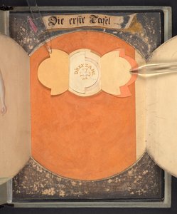 Az embert három különböző állapotban ábrázoló táblázatok alkotó: German School