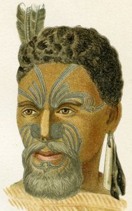Egy maori főnök tetovált arca, 1894 alkotó: German School