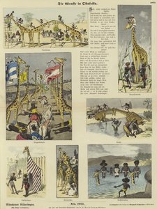 A zsiráf Kelet-Afrikában