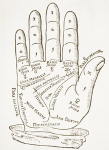 A jobb kéz, Tricassus Cerasariensis-illusztrációjának másolata, Nürnberg, 1560, a Mágiatörténetben használt, a 19. század végén megjelent alkotó: German School