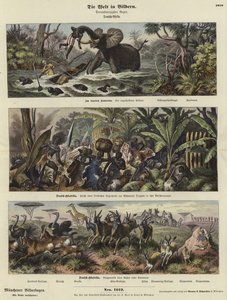 A világ képekben: Német Afrika