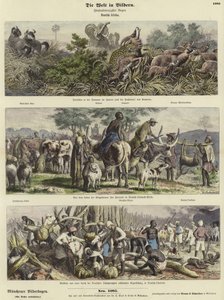 A világ képekben: Német Afrika