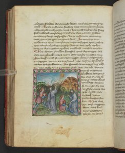 Ulrich von Pottenstein, The Book of Natural Wisdom, Egerton MS 1121 f.114v, c.1430 (tinta és szín pergamenen) alkotó: German School