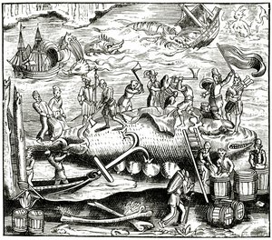 A bálnahalászat a Cosmographie Universelle of Munster című könyv fametszete után, 1552-ben alkotó: German School