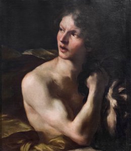 David alkotó: Gian Lorenzo Bernini