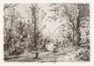 Erdő a Lago Maggiore-on [Erdő a Maggiore-tónál] alkotó: Giberto Borromeo
