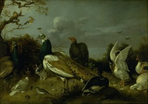 Pávák, kacsák és egyéb állatok alkotó: Gijsbert Gillisz. de Hondecoeter