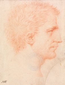 Tarlószakállú férfi feje, jobbra nézve alkotó: Giles Hussey