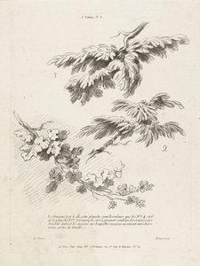 Három leveles ág tanulmányozása 1er Cahier de paysage (sorozat címe) alkotó: Gilles Demarteau