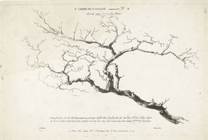 A csupasz faág vizsgálata 1er Cahier de paysage (sorozat címe)