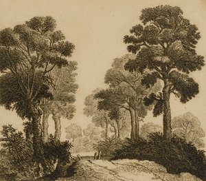 Tájkép alkotó: Gillis Neyts