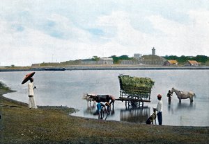 Colombo, Ceylon, 1890