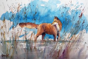 Alert Fox Reedsben alkotó: Giorgio Gosti