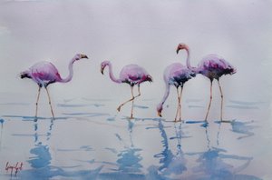 Rózsaszín flamingók a vízben alkotó: Giorgio Gosti