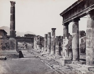 A Venus Pompeiiana templom keleti oszlopsora Pompejiben alkotó: Giorgio Sommer