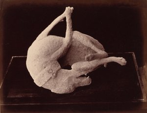 Cast, Pompeji, kb. 1870 (fotó) alkotó: Giorgio Sommer