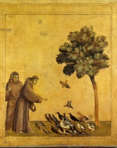 Assisi Szent Ferenc madarakat prédikál. Részlet a stigmákat fogadó Assisi Szent Ferenc predellájáról. Giotto Di Bondone festménye