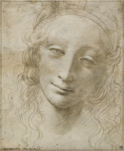 Egy nő feje alkotó: Giovanni Antonio Boltraffio