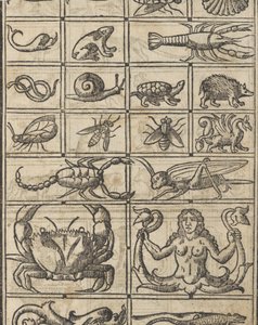 Recammi példa, 11. oldal recto, 1530.